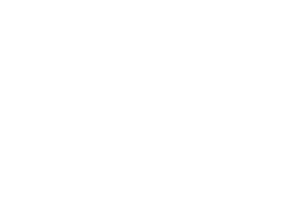 Vision 2030